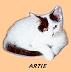 www.artie.co.uk